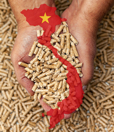 Vietnamese wood pellets manufacturer